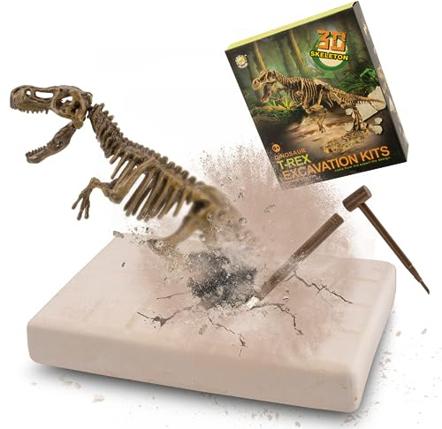 MUSCCCM Dinosaurier Dig Kit Tyrannosaurus Rex, Dino Skelett Fossil Ausgrabung Kit Realistisches Dinosaurier Modell Lernspielzeug Geschenk für Kinder Jungen Mädchen Weihnachten/Neujahrsgeschenk