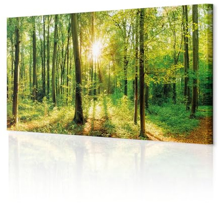 decomonkey Bilder Wald 150x50 cm XXL 1 Teilig Leinwandbilder Bild auf Leinwand Vlies Wandbild Kunstdruck Wanddeko Wand Wohnzimmer Wanddekoration Deko Baum Bäume Natur Landschaft
