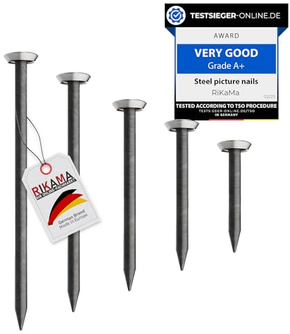 RIKAMA® – 50 Bildernägel im Mix aus je 10 x 20mm, 25mm, 30mm, 40mm, 50mm – Stahlnägel für den Einsatz auf Beton, Ziegelstein, Putz & Holz – Made in Europe (Silberner Kopf)