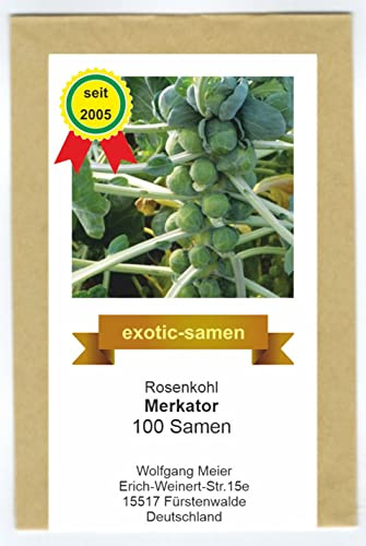 Rosenkohl - Merkator - alte, samenfeste Sorte - 100 Samen