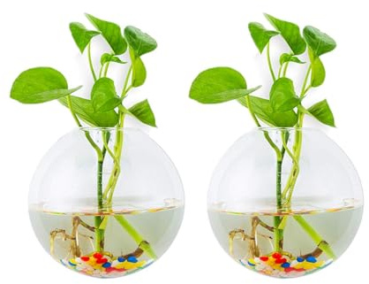 Glasseam Wandbehang Glas Pflanzgefäße 2Stk. Sphärische Form Pflanzentöpfe Terrarium Behälter Vase mit 2,12 Unzen Bunte Steine ​​Indoor Outdoor für Hausgarten Büro Hochzeit