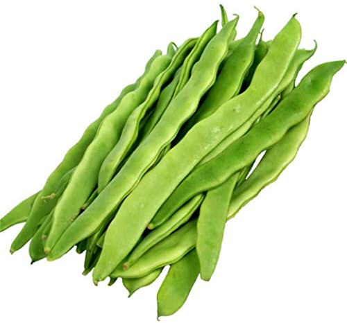 Germisem Stangenbohnen HELDA