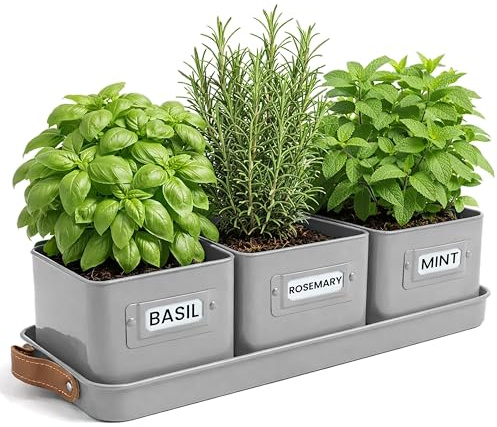 Green Thumbz 3 STK. Kräutertopf - Kräutertöpfe für Deinen Kräutergarten und Fensterbank Innen Dekoration - Basilikum Topf mit Ledergriffen & Untersetzer - Küchenkräuter Topf (Holzkohlegrau)