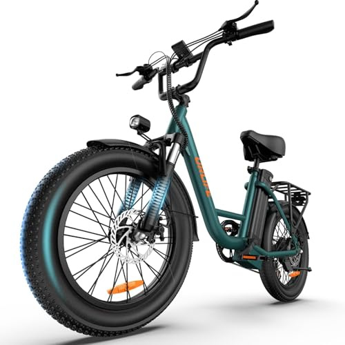 URLIFE E-Bike für Erwachsene, 20 * 3.0 Fetter Reifen Elektrofahrrad Für Stadtpendler, 48V 13Ah Austauschbarem Akku bis 100KM, 250W Motor mit LCD Display, 7 Gang Elektrofahrräder Für Herren Damen