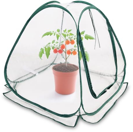 Mini Pop-Up Folien Gewächshaus 60 x 60 cm – Kleines Treibhaus für Gemüse, Blumen & Pilze – Transparentes PVC Überwinterungszelt für Pflanzen – Kein Aufbau Erforderlich
