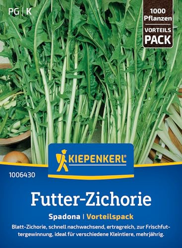 Kiepenkerl Futter-Zichoriensamen Spadona 1006430 - Gemüsesamen für eine schnell nachwachsende Blatt-Zichorie mit Inhalt für 1000 Pflanzen - Saatgut