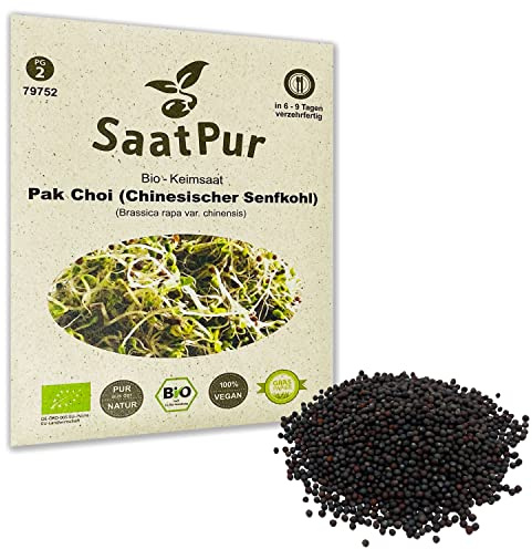 Pak Choi BIO Keimsprossen von SaatPur - Sprossen Keimsaat, Microgreen - 20g