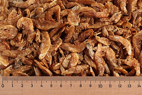 1 kg Shrimps 2-4 cm, Garnelen, Schildkrötenfutter, Reptilienfutter