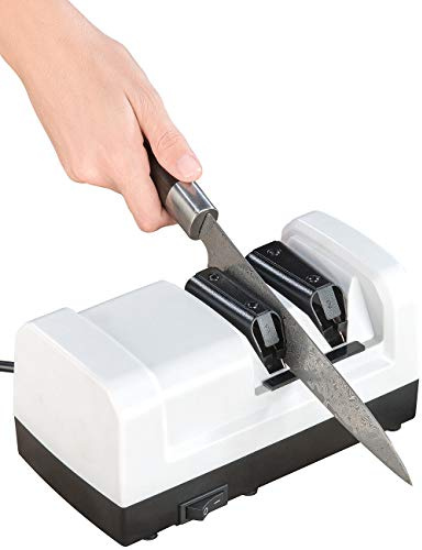 Rosenstein & Söhne Messerschleifer: Elektrischer Profi-Diamant-Messerschärfer, Grob- und Feinschliff, 60 W (Messerschleifgerät, Elektrischer Messerschleifer, Profis)
