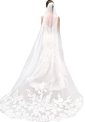 Lianshi Braut-Schleier Hochzeit Schleier fur die Braut Einlagiger Hochzeits-Schleier Brautschleier-Spitze-Stickerei-Braut liefert 3m