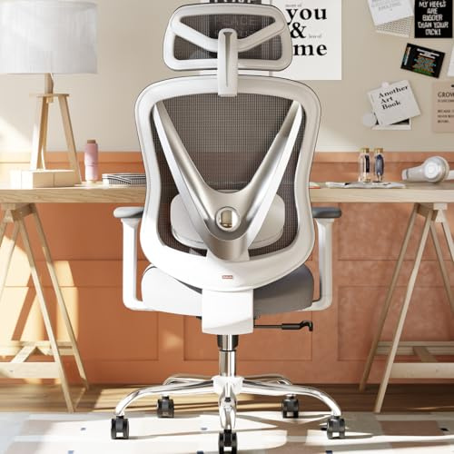 HOLLUDLE Ergonomischer Bürostuhl mit 3D Lendenstütze & 3D verstellbaren Armlehnen – V-förmiges Rücken-Design, bequemer Schreibtischstuhl für Büro & Zuhause, Weiß