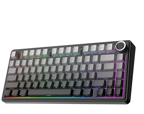 EPOMAKER x Aula F75 Gasket Mechanische Tastatur, 75% Hot swap-fähige Gaming-Tastatur mit Fünf-Schicht-Polsterung&Knopf, BT/Wireless/USB-C, RGB (Black Ombre, LEOBOG Reaper Switch)