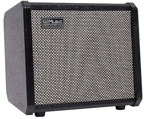 Dellersound TS20 20W Bass-Combo-Verstärker - Schwarz, geeignet für Bassgitarre, mit 2-Jahres-Garantie, 16,5 cm Lautsprecher, Overdrive-Schaltung, Mitten-Scoop-Konturschalter