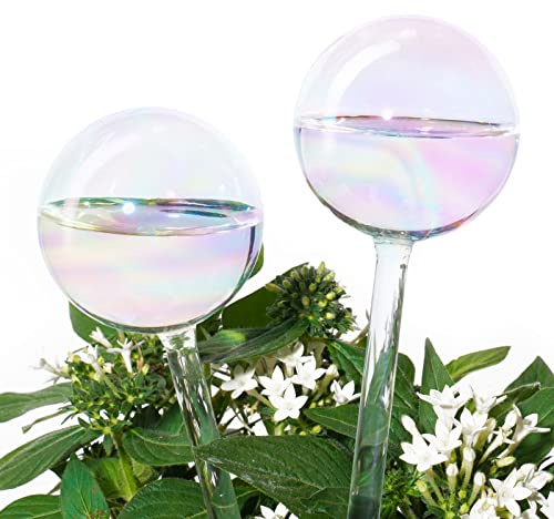 Tomorotec Selbstbewässernde Glühbirnen, automatische Pflanzenbewässerungskugeln, leicht schillernder Regenbogen-Farbverlauf, klares Glas, selbstbewässerndes System, 2 Stück
