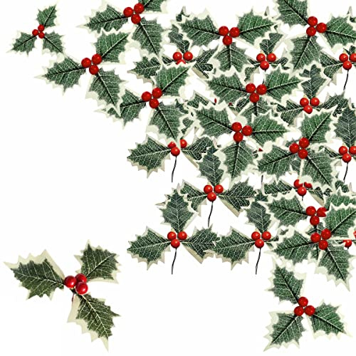 12 Stück Artificial Beerenzweige Grünen Blättern,Künstliche Tannenzweige mit Beeren, DIY Dekor Weihnachten Tannenzapfen Zweige Dekorationen, Rote Beeren Tannenzapfen Zweige,Weihnachtsdeko ZumBasteln