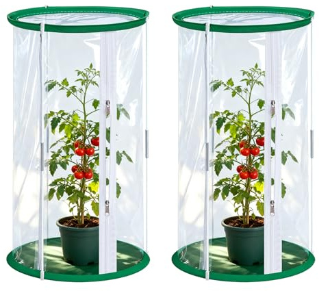 2 Stück Gewächshaus Klein, 52x28CM Zuchtkäfig für Schmetterlinge, Transparenter Netzkäfig, Überwinterungszelt für Zucht von Kleinen Insekten, Schmetterlingen und Pflanzenbeobachtung