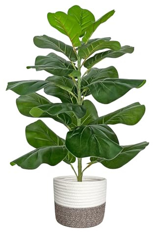 Zvezvia Künstliche Pflanze, 78cm Groß Künstliche Pflanzen wie echt mit Geflochtenem Topf,Kunstpflanze Ficusbaum Kunstbaum für Wohnzimmer Schlafzimmer Büro Garten Deko
