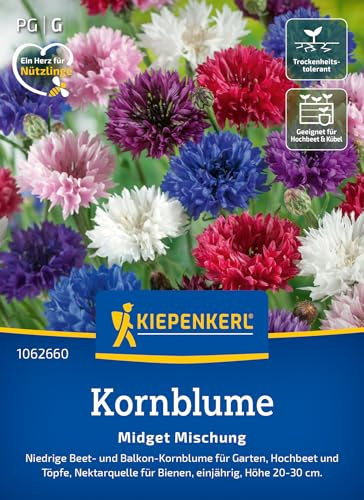 Kiepenkerl Kornblumensamen Midget Mischung 1062660, Sommerblumensaat | Hochbeet und Töpfe, Wuchshöhe 20-30 cm, kompakt, Aussaat ab Spätsommer, einjährig, für Beet & Hochbeet