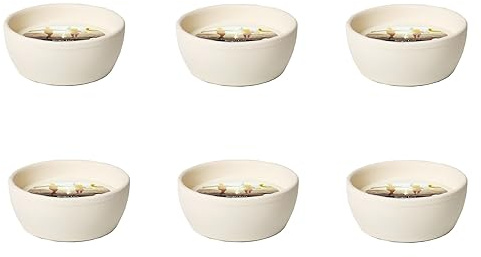 Flammschalen Ingwer Citronella für draußen 6 Stück - Outdoor-Kerzen Terracotta - Perfekt für deinen Garten - Feuerschalen im 6er Set - 13h Brenndauer - 10,9x10,9x4,6 cm