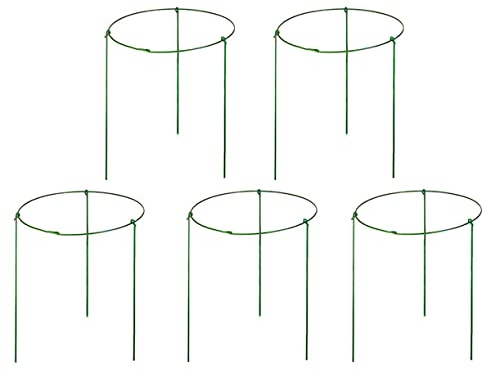 Pflanzenringe für Topfpflanzen, 15 cm breit x 28 cm hoch, 3 Beine, 5 Stück