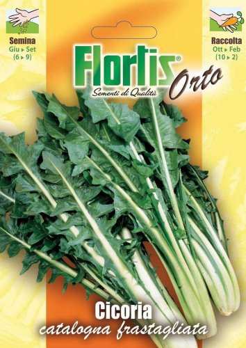 Flortis 4355115 Blattzichorie Catalogna Frastagliata (Blattzichoriensamen)