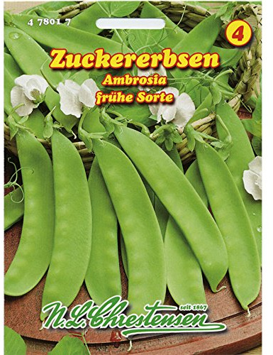 Zuckererbse Ambrosia (Portion)