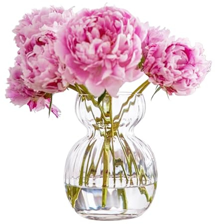 Kleine Glasvase für Blume Innjoii Hyazinthe Bulb Avocado klare Vasen Tischdekorationen Mittelstück, Bud Vase Bulk für den Anbau, Mini Plant Creative Cute für Hochzeit Home Wohnzimmer Dekor, 12cm (H)