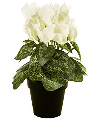 FloristryWarehouse Alpenveilchenstrauß im Topf, Kunstseide, 25 cm hoch, Weiß