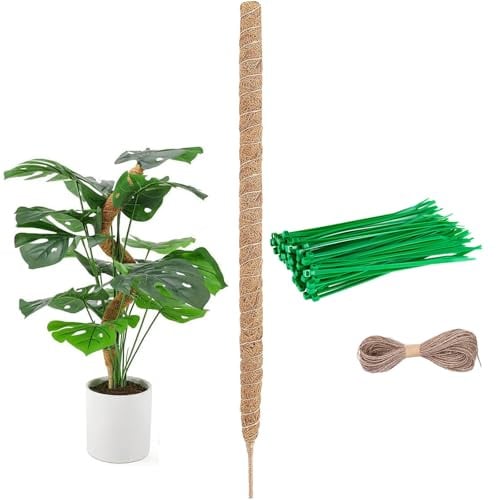 114cm Moosstab für Monstera, Monstera Rankhilfe für Pflanzen, Flexibler Pflanzenstab Moosstab für Pflanzen Kokosstab Pflanzstab für Kletterpflanzenwachstum