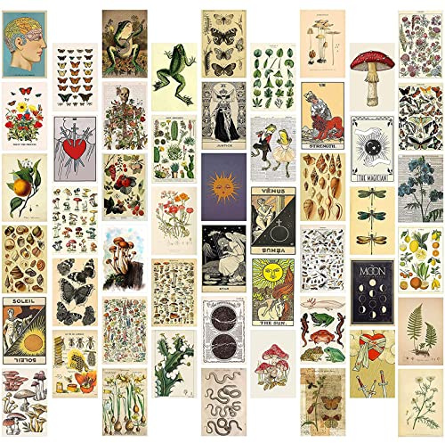 WAIZHIUA 50 Stück Vintage Botanical Wall Collage Kit - Aesthetic Wandcollagen Set Indie Room Décor - Bilder Wand Collage Druck Kit - Fotowand Collage für VSCO Poster Mädchen und Jungen Teens