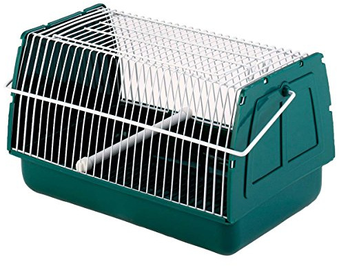 Kerbl Pet Transportbox, Tierbox, 21x15x14 cm, Kunststoff, grün, für Hamster, Meerschweinchen, Nager, Kleintiere