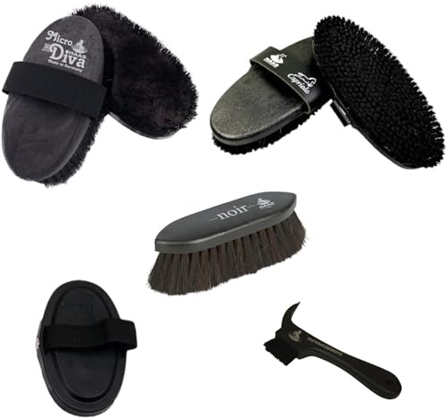 RL24 - Bürsten-Set Noir von Haas (5-teilig) | Putzzeug für Pferde | enthält 5 Pferdebürsten | entfernt Staub, Schmutz & loses Haar | Fellpflege & Glanz | Pferde Zubehör in schwarz