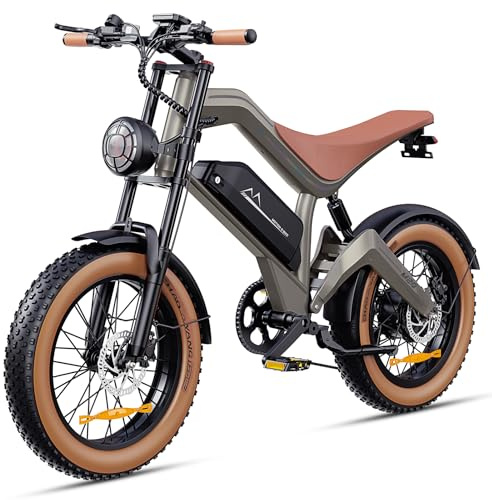 Cyseekin E Bike Herren mit 48V 18.2AH Akku bis 161KM 25KM/H, Vollfederung Elektrofahrrad Für Erwachsene Hydraulische Bremsen, 250W Motor Ebike mit LCD-Display NFC-Karte, 20x4.0 Zoll Fatbike