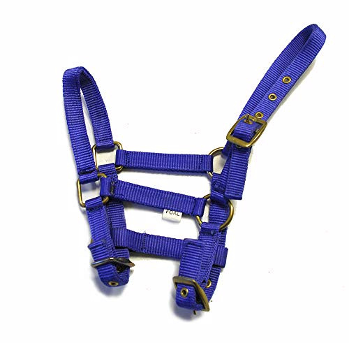 Rhinegold Halfter aus Nylon, Königsblau