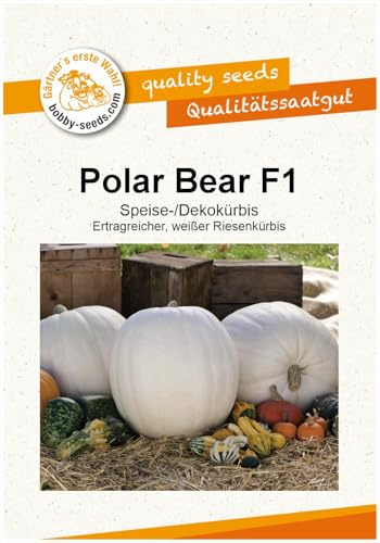 Kürbissamen Polar Bear F1 Portion