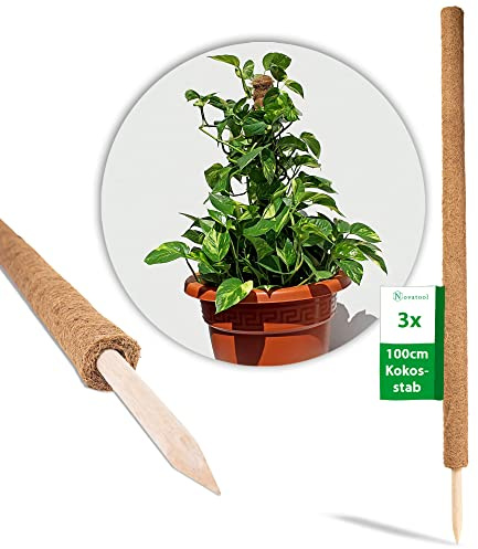 Novatool 3X Kokosstab für Pflanzen 110 cm I Ø 45mm I verlängerbar I natürlicher Kokosfaser I Rankstab Kokos für Monstera Pflanze Efeutute Moss Pole