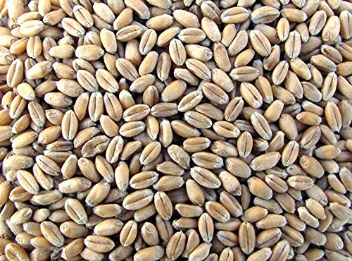 Raiffeisen Weizen, Futter Geflügel Hühner (25Kg)