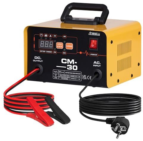 Anesty Autobatterie Ladegerät 12V/24V Smart KFZ Batterieladegerät 20-250Ah mit Schutzfunktion für Autos, LKW, Traktor, AGM, Gel Blei Säure Batterien