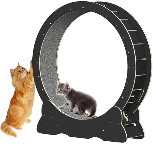 Katzenlaufrad, Laufrad für Katzen, 120cm Innendurchmesser, Super leises Haustier-Katzen-Spielzeug, Holzlaufrad für Kleine, Mittelgroße und Große Katzen (Schwarz, XXL)