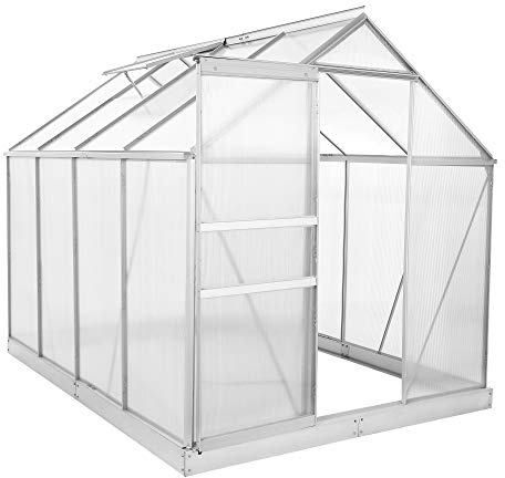 Zelsius Aluminium Gewächshaus mit Fundament 250 x 190 cm | 6 mm Hohlkammerplatten, UV-beständig, Winterfest | Treibhaus, Pflanzenhaus, Tomatenhaus, Frühbeet, Anbau Gewächshaus, Tomatengewächshaus