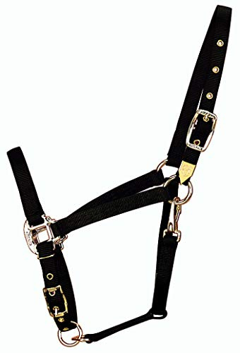 Hamilton 3/4-Inch Nylon Arabian Horse Halter with Adjustable Chin and Throat Snap, Average, 800 to 1100 pounds, Black
