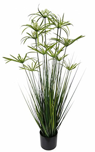 Zypern-Gras im Topf Grasbusch groß Gras Ziergras Dekopflanze künstliches Zyperngras Cyperus Topfpflanze Grünpflanze Künstliche Dekopflanze Staude Ufergras Schilf Katzengras