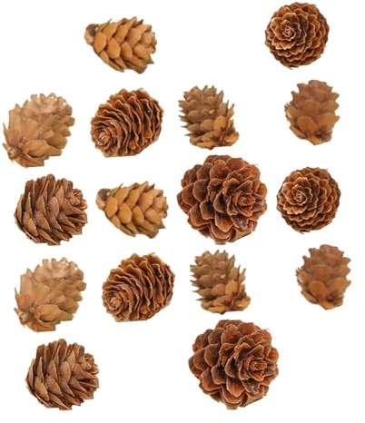 Warmhm 100 Stück Weihnachts-Tannenzapfen-Dekoration Hölzerne Tannenzapfen-Ornamente Kreative Tannenzapfen-Foto-Requisite Zum Basteln Für Weihnachten Urlaub Party Heimdekoration