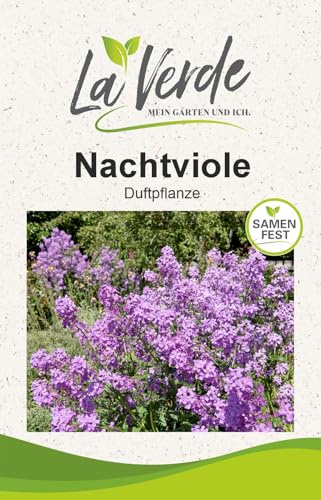 La Verde MEIN GARTEN UND ICH. Nachtviole Blumensamen für ca. 300 Pflanzen, stark duftende Bauernblume, zweijährig, Saatgut ohne Gentechnik