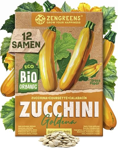 ZenGreens® - Bio Zucchini Samen (Goldena) - Zucchinisamen - Gemüsesamen für den einfachen Anbau im Garten, Balkon oder Hochbeet - Gemüse Saatgut