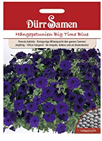 Dürr-Samen - Petunien Big Time Blue dunkelblau einjährig 100 cm Saatgut