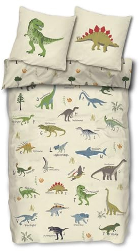 SkyBrands Dinosaurier Kinderbettwäsche 135x200 cm - Dino ABC Wendebettwäsche mit Reißverschluss, 2-teilig (80x80 cm Kissen), 100% Baumwolle, Öko-Tex Standard 100, Motiv: T-Rex & Stegosaurus