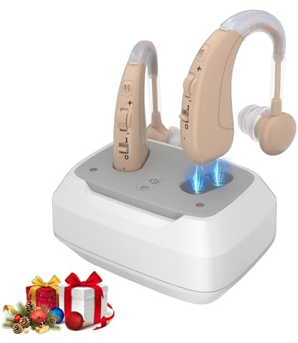 Delmicure Wireless Soundgerät mit intelligenter Geräuschunterdrückung, 4 Modi und einstellbarer Lautstärke, Packung mit 2 Einheiten (Dual)