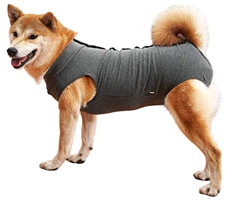 Dotoner Krankenhausanzug für Hunde und Katzen, Wundschutz für Welpen, medizinische Kleidung, nach Operationen, Ersatzkragen und Kegel (XL, grau)
