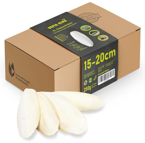 Sepia King Sepiaschalen – XL Box 250g 15-20cm | Natürliche Kalzium und Mineralstoff-Quelle | Sepia Schalen - Futter für Reptilien, Schildkröten, Bartagame, Vögel, Terrarium Zubehör